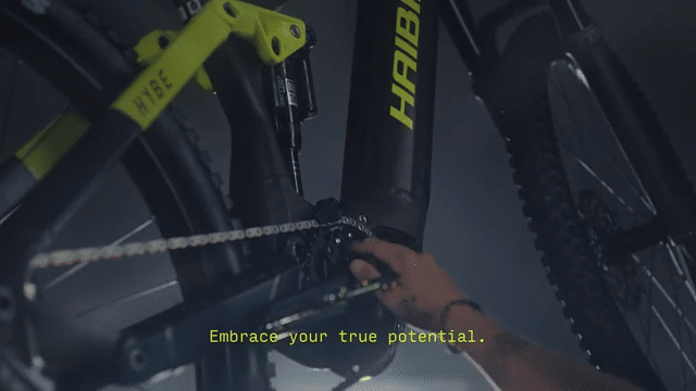Haibike – Deny Gravity-low