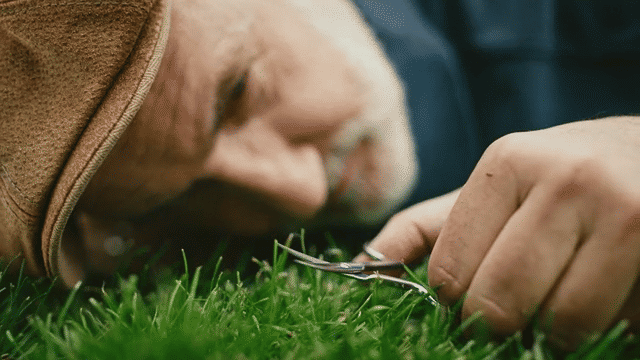 Stadt Düsseldorf – EURO Greenkeeper-low